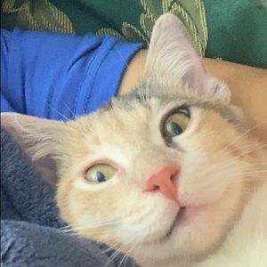 Meet your Posher, Emyli